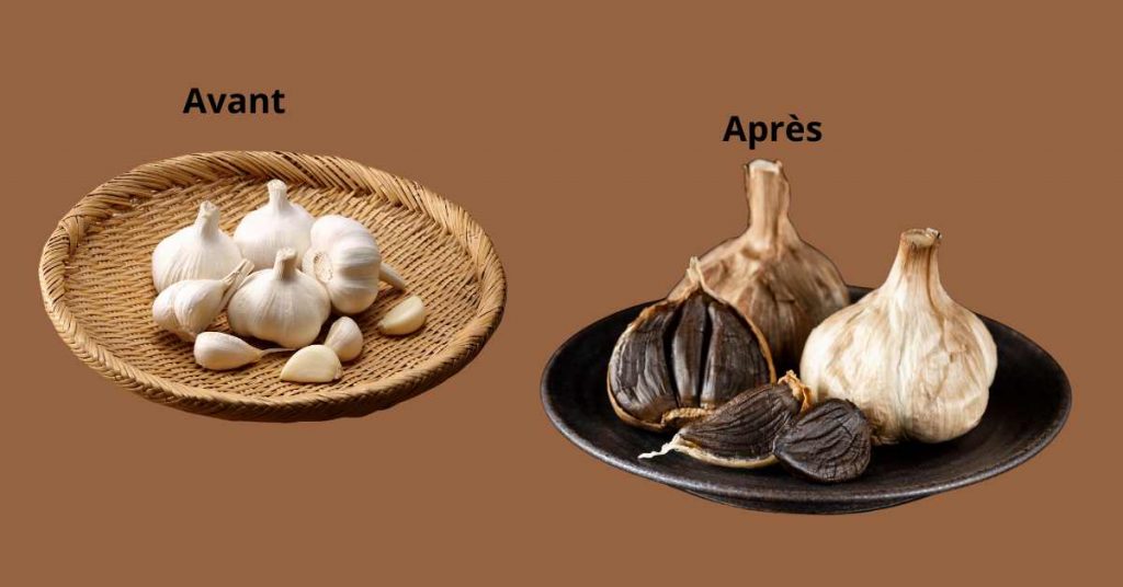 Ail Noir De qualité