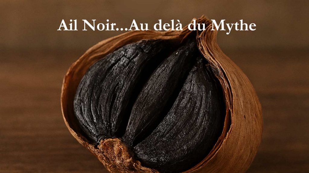 L 'Ail Noir au delà du Mythe