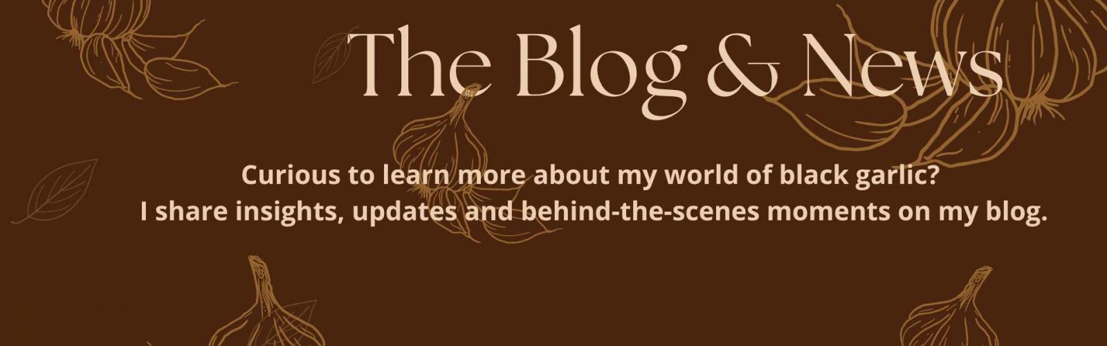 Blog